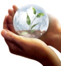 clean-airworld-on-palm-globe
